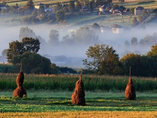 Maramures Plai Cu Flori Sacel