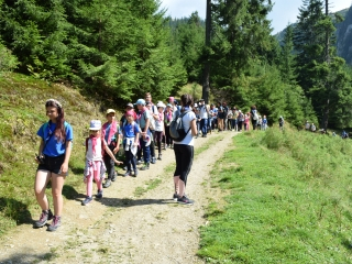 Maramures Plai Cu Flori Maramures